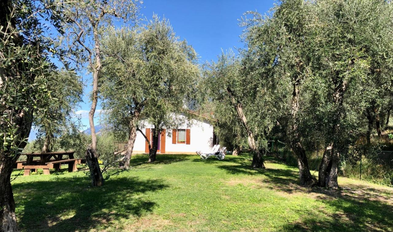 Bellavista Apartment Malcesine Zewnętrze zdjęcie